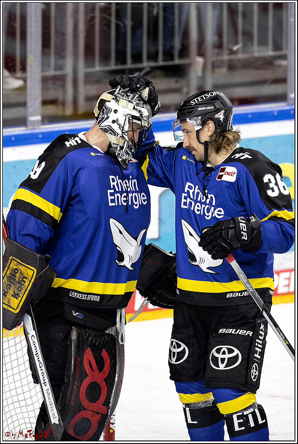 PENNY DEL;  Koelner Haie - Grizzlys Wolfsburg; Koeln, 25.11.2021